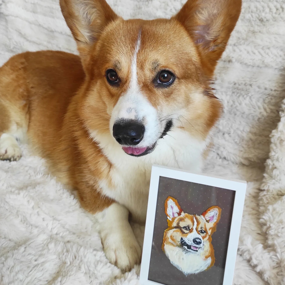 Chien corgi à côté de son portrait peint