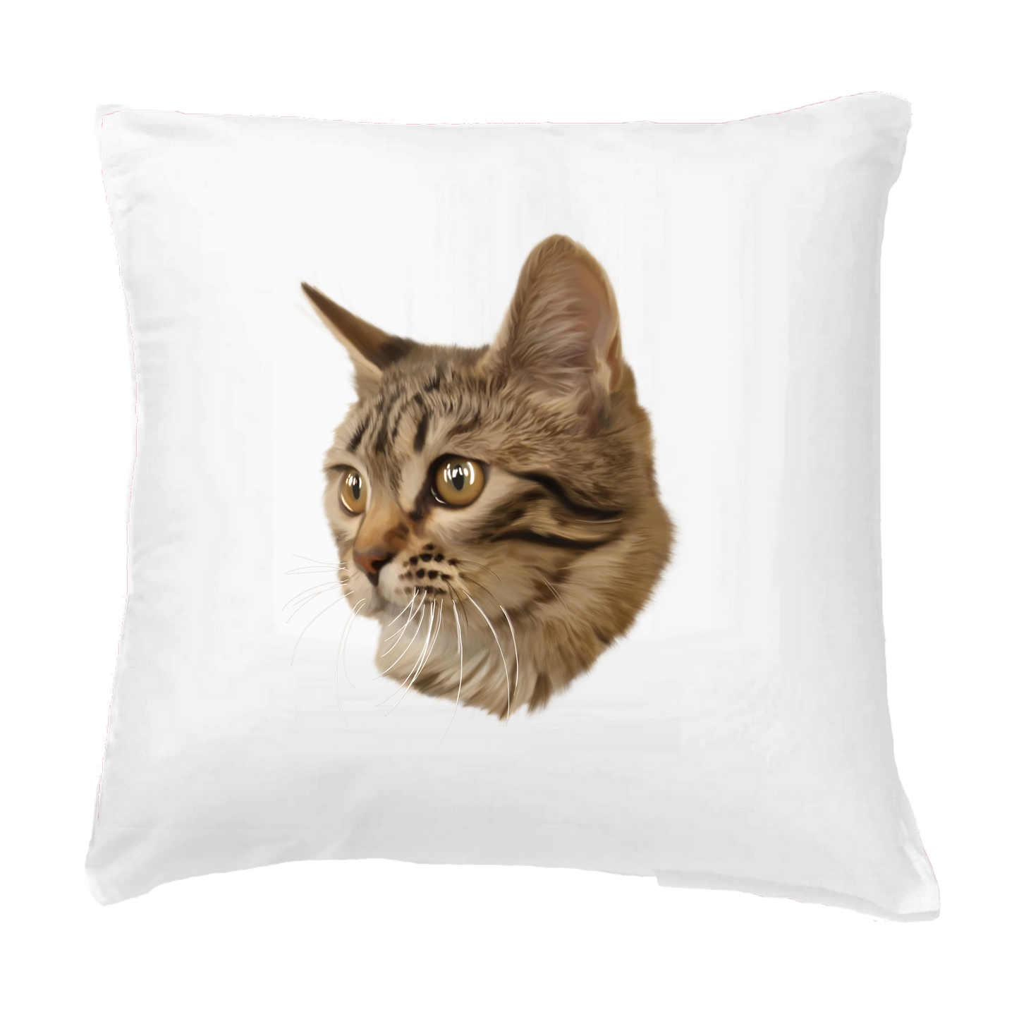 Coussin + housse - European Shorthair