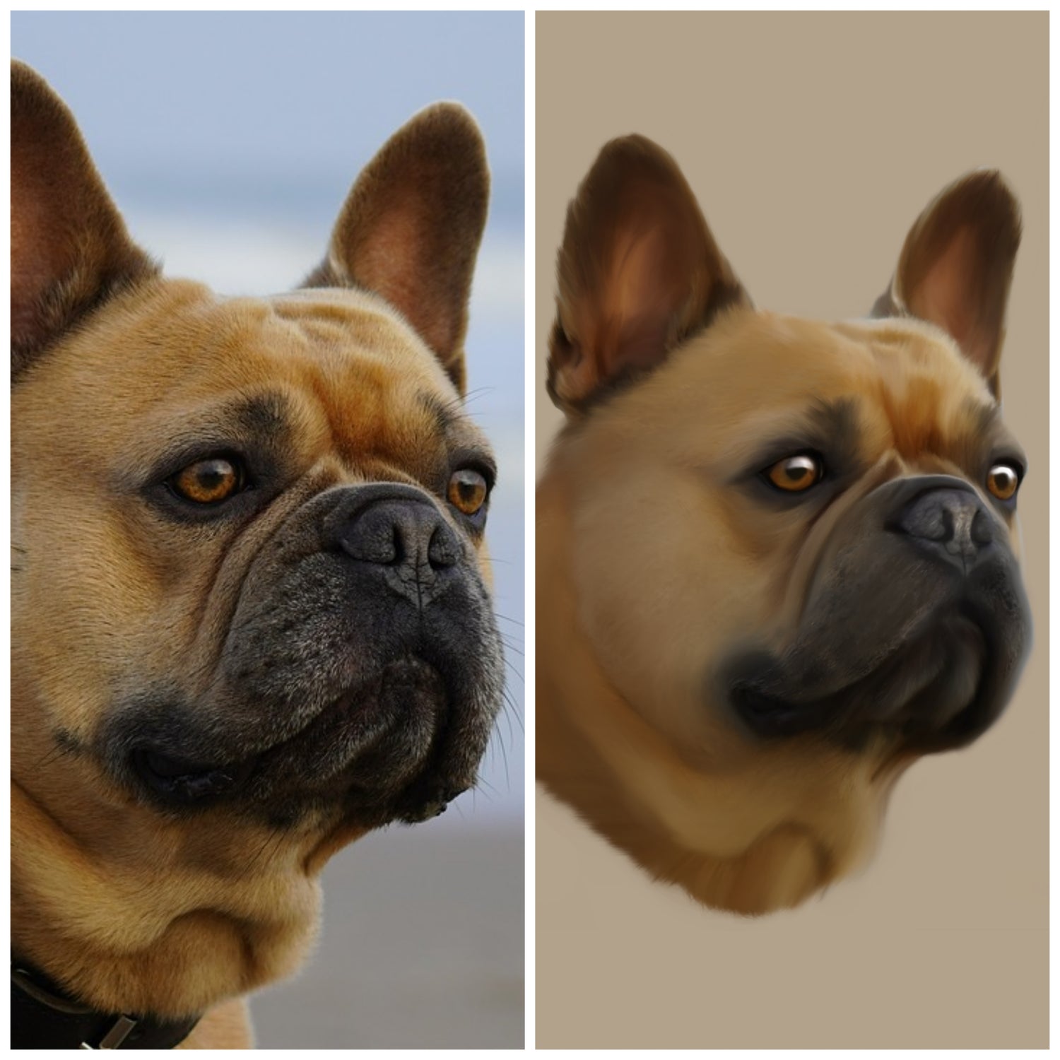 Portrait digital chien bouledogue français d'après photo