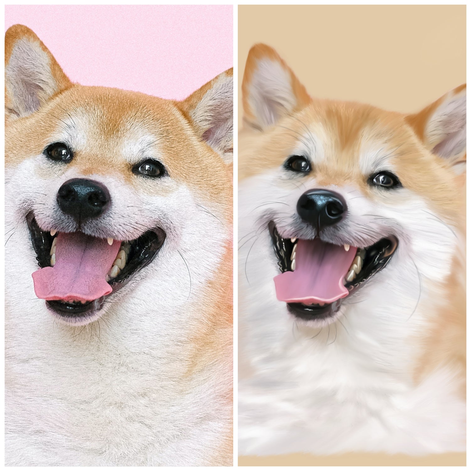 Portrait digital chien d'après photo