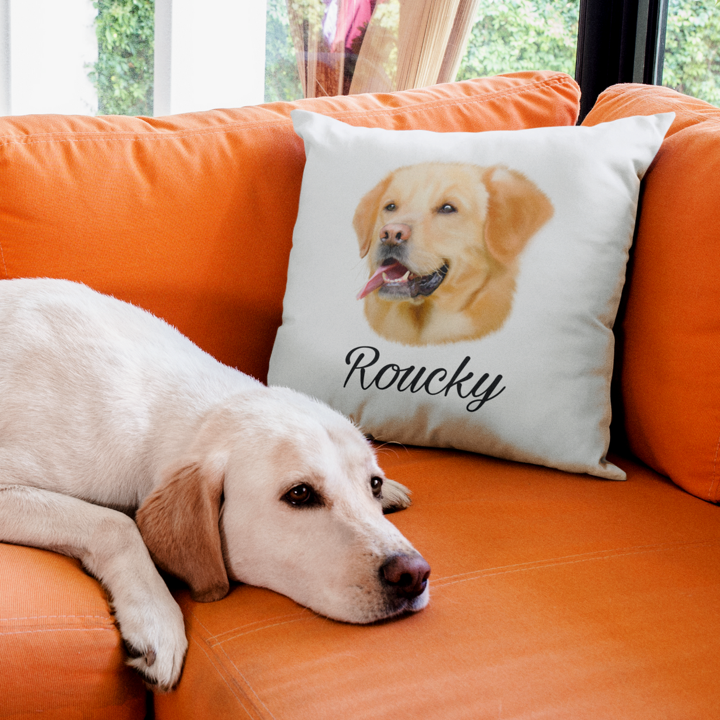 Coussin + Housse - Golden Retriever